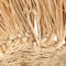 Hello Honey® 16.5" Natural Savannah King Raffia Lion Wall Art